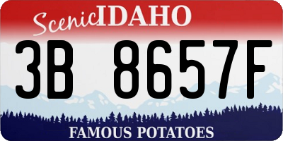 ID license plate 3B8657F
