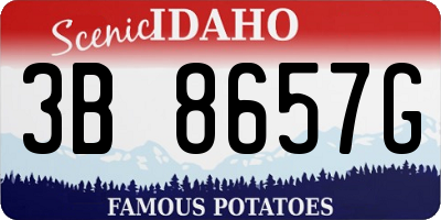 ID license plate 3B8657G