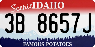 ID license plate 3B8657J