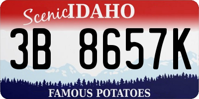 ID license plate 3B8657K