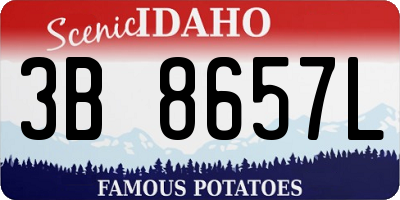 ID license plate 3B8657L