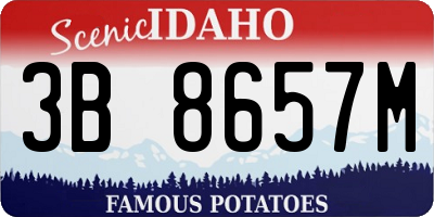 ID license plate 3B8657M