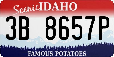 ID license plate 3B8657P