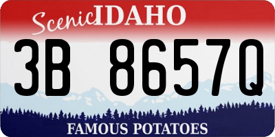 ID license plate 3B8657Q