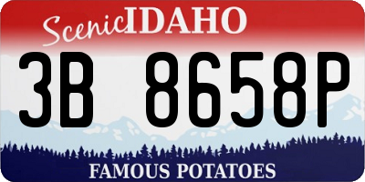 ID license plate 3B8658P