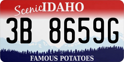 ID license plate 3B8659G