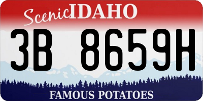 ID license plate 3B8659H