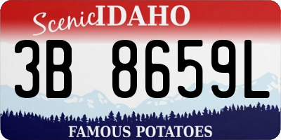 ID license plate 3B8659L