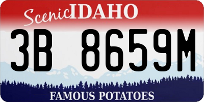 ID license plate 3B8659M