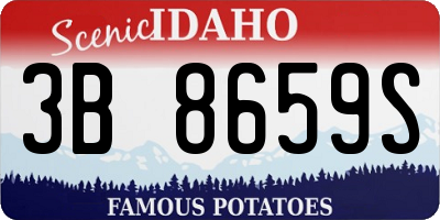 ID license plate 3B8659S