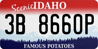 ID license plate 3B8660P