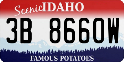 ID license plate 3B8660W
