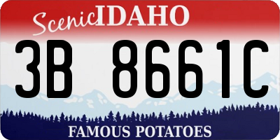 ID license plate 3B8661C