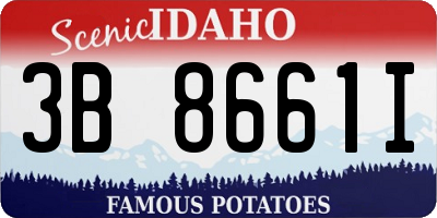 ID license plate 3B8661I