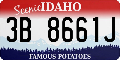 ID license plate 3B8661J