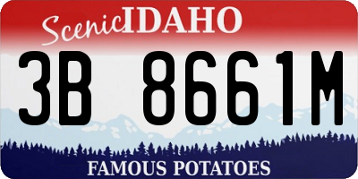 ID license plate 3B8661M