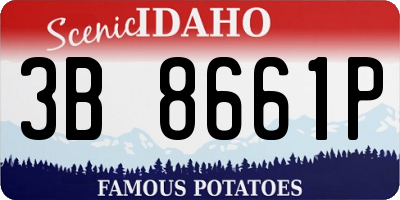 ID license plate 3B8661P