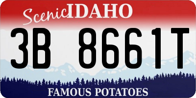 ID license plate 3B8661T