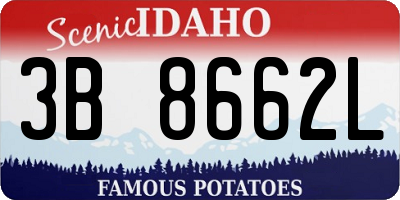 ID license plate 3B8662L