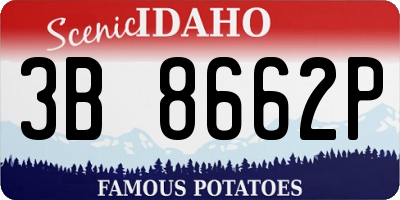 ID license plate 3B8662P