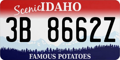 ID license plate 3B8662Z