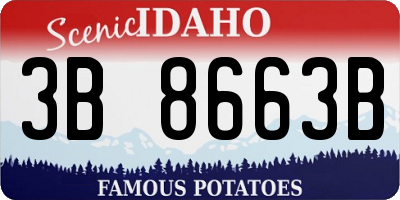 ID license plate 3B8663B