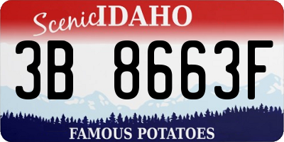 ID license plate 3B8663F