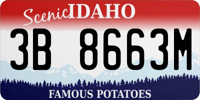 ID license plate 3B8663M