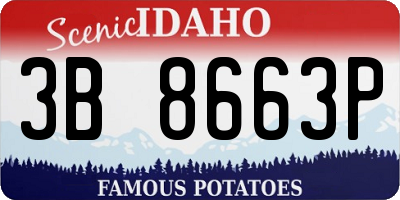 ID license plate 3B8663P