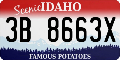 ID license plate 3B8663X