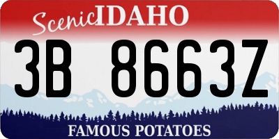 ID license plate 3B8663Z