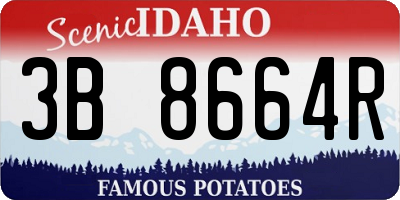 ID license plate 3B8664R