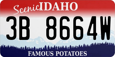 ID license plate 3B8664W