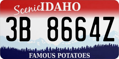 ID license plate 3B8664Z