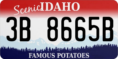 ID license plate 3B8665B