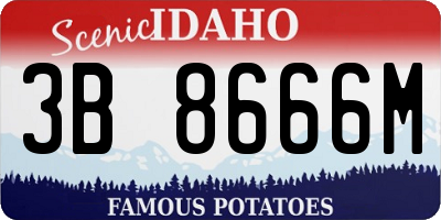 ID license plate 3B8666M