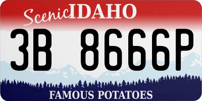 ID license plate 3B8666P