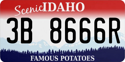 ID license plate 3B8666R