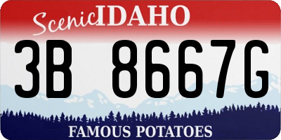 ID license plate 3B8667G
