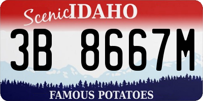 ID license plate 3B8667M