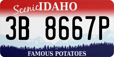 ID license plate 3B8667P