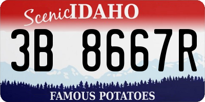 ID license plate 3B8667R