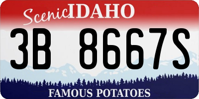 ID license plate 3B8667S