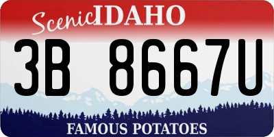 ID license plate 3B8667U