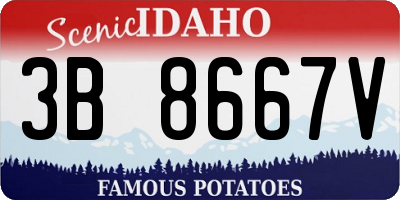 ID license plate 3B8667V