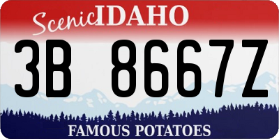 ID license plate 3B8667Z
