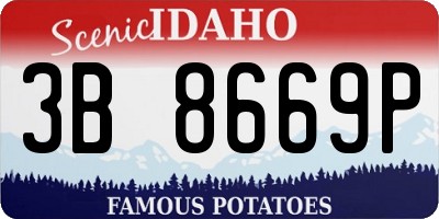 ID license plate 3B8669P