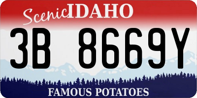 ID license plate 3B8669Y