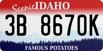ID license plate 3B8670K