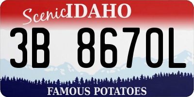ID license plate 3B8670L